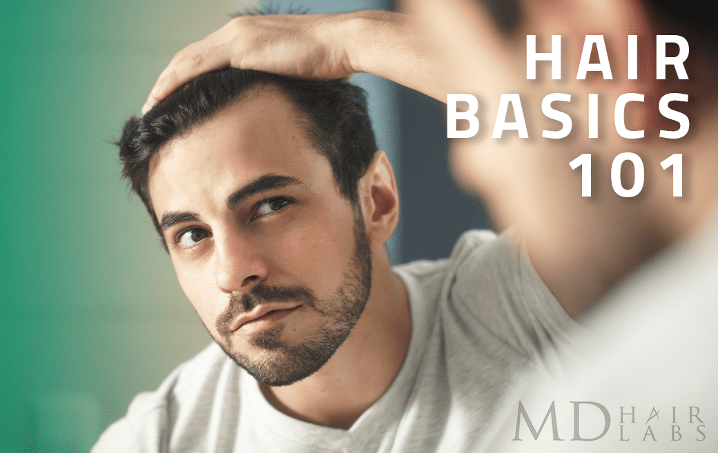 HairBasics101_Featured Image